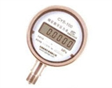 CYB-100精密數字壓力表